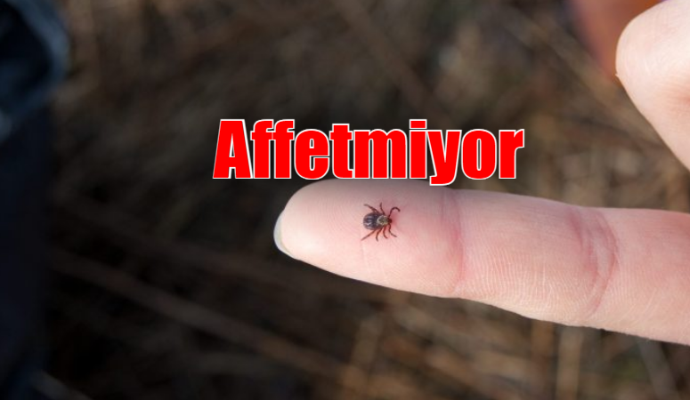 Kırım Kongo Kanamalı Ateşi nairovirüs cinsine ait bir virüs tarafından