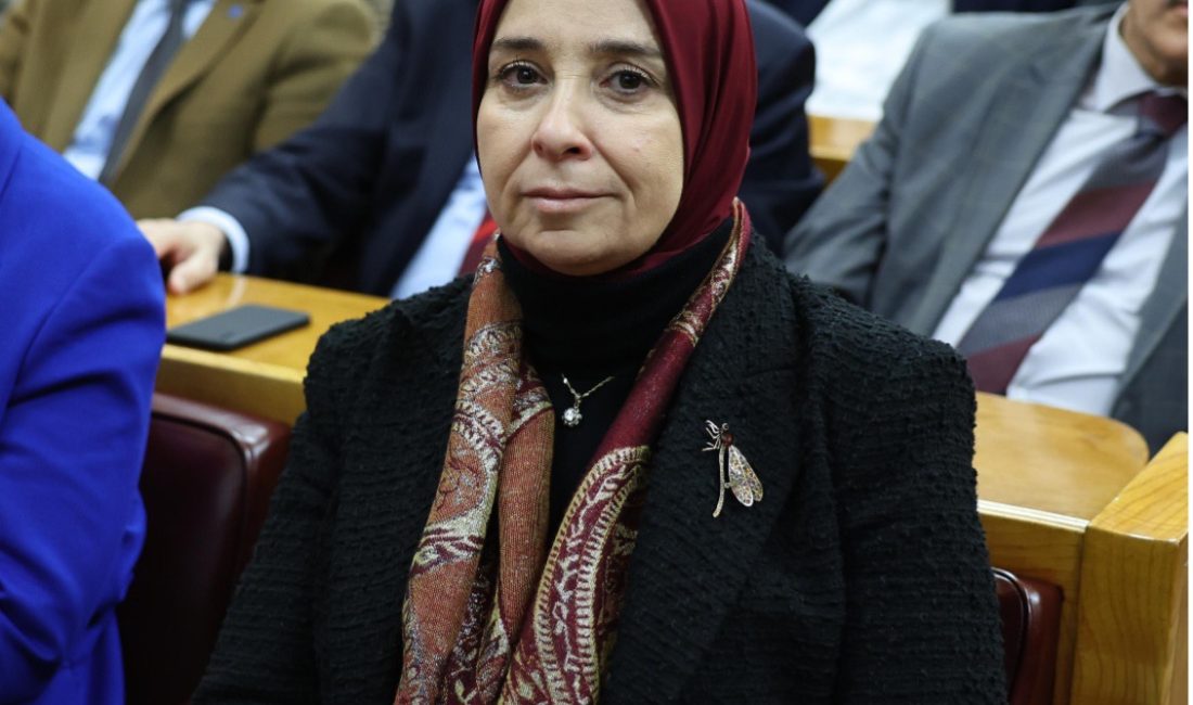 DEVA Partisi Genel Başkan Yardımcısı ve İstanbul Milletvekili Elif Esen,